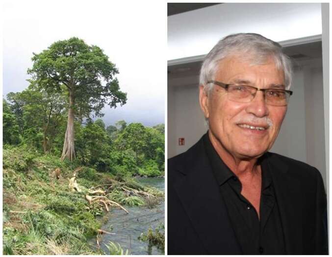 Árbol de Ceiba y el autor del artículo Pelayo Suárez/TA.